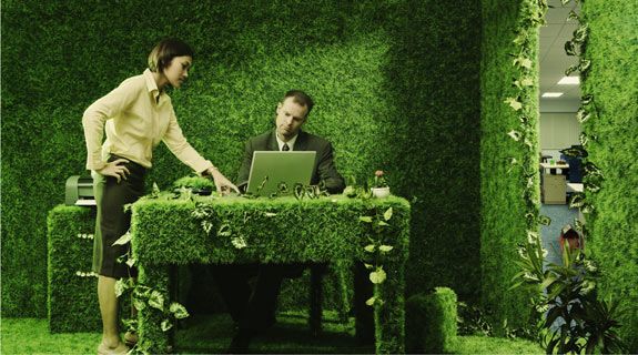 Зеленый офис
